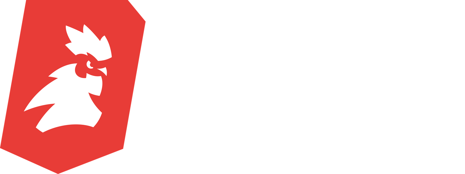 Спорт-Экспресс